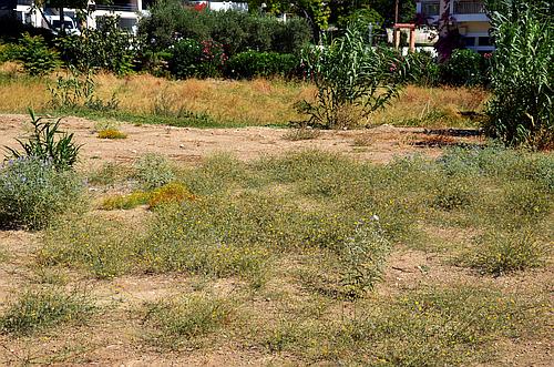 location of ancient cemeteries