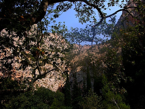 Castalian Spring Delphi