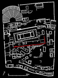 plan of Delphi