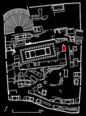 plan of Delphi