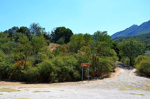 Thermopylae Kolonos hill