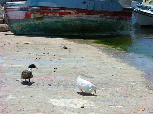 Agios Nikolaos harbour