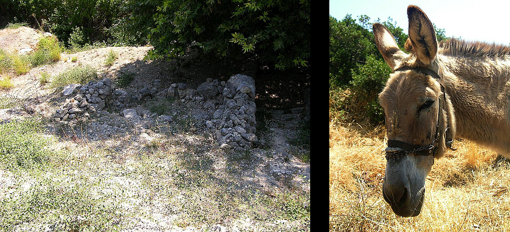 Minoan villa Piskokephalo and monkey