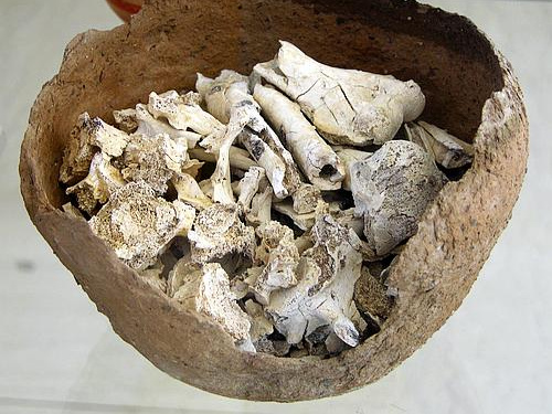 clay vessel with bones