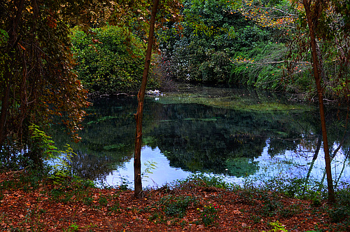 Dion archaeological park