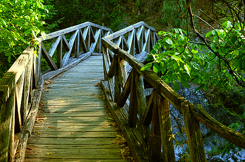 wooden bridge