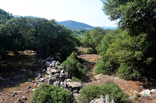 Helladic Agiorgitika landscape