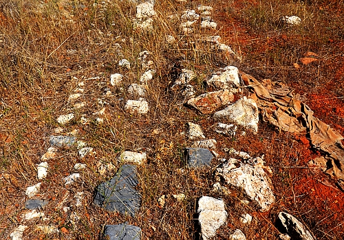 Classical Agiorgitika