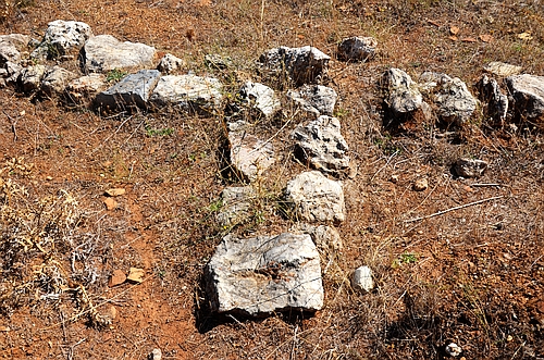 Classical Agiorgitika