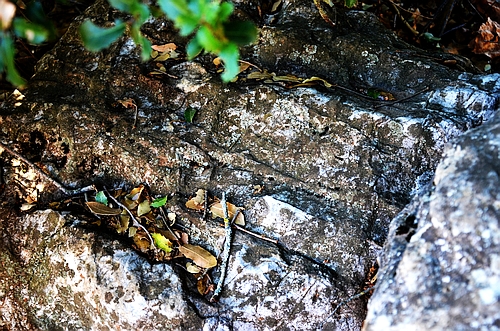 Classical Agiorgitika fragment