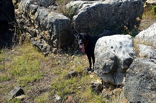 grave of Epaminondas