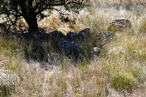 Mycenaean settlement Orchomenos