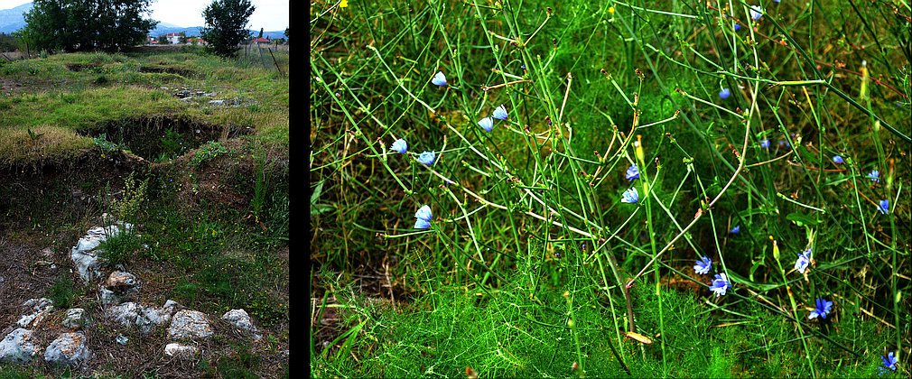 Stadio archaeological site