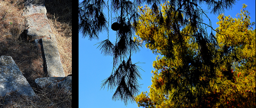 archaeology on Aspis hill