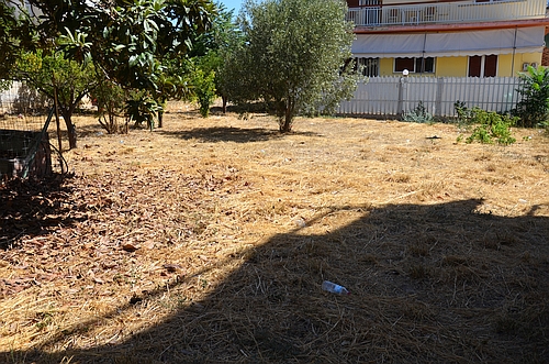 former Mycenaean cemetery