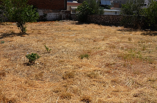 former Mycenaean cemetery