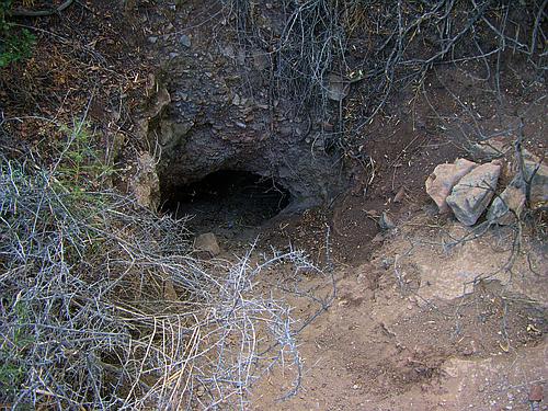 Mycenaean necropolis Barbouna