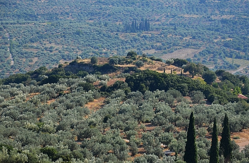 view to ancient Hysiai