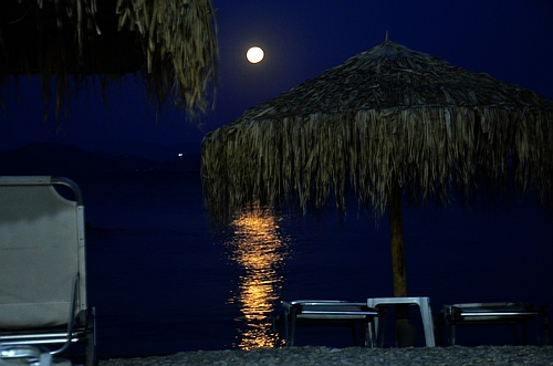 beach at night with moon