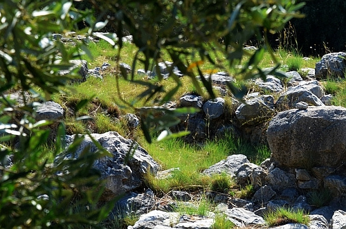 Lower City in Mycenae