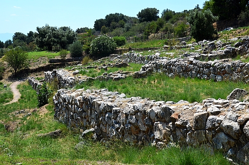 Oil-merchant House group