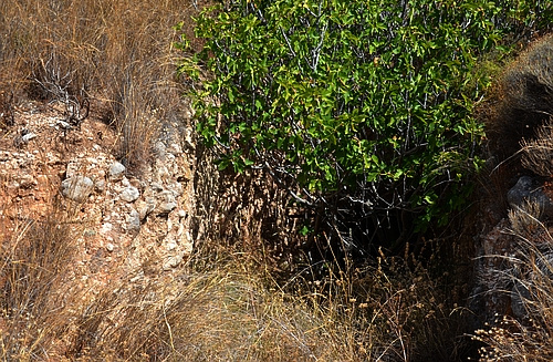 Agios Georgios chamber tomb