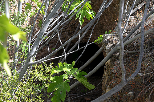 Agios Georgios chamber tomb