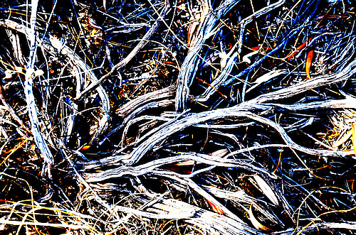 Agios Georgios chamber tomb