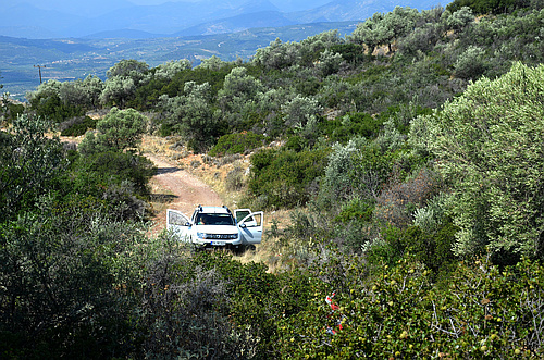 dirt road and car