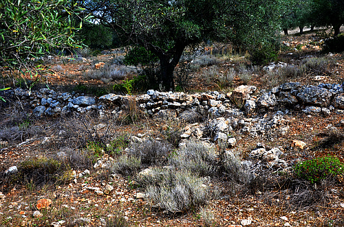 Mycenaean road
