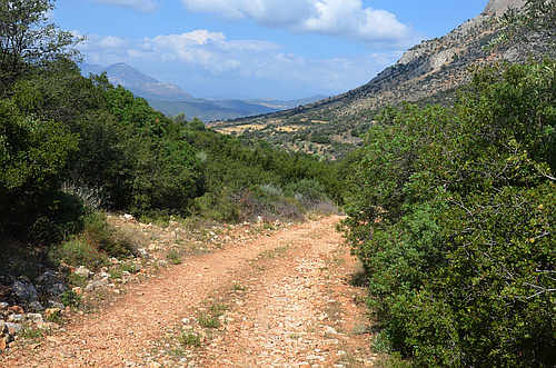 dirt road in landscape