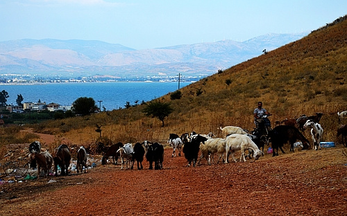 trail to Myloi castle