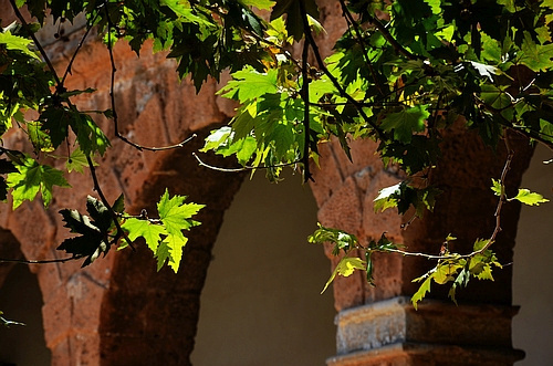 Archaeological Museum Nafplion