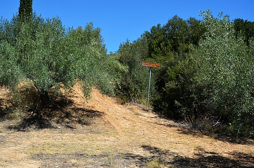 Mycenaean tholos tomb