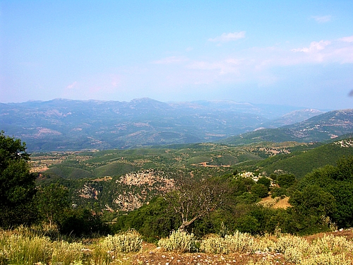 Alifira landscape