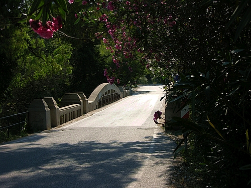 bridge over the Alpheios