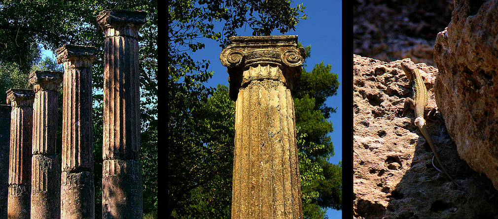 columns and salamander