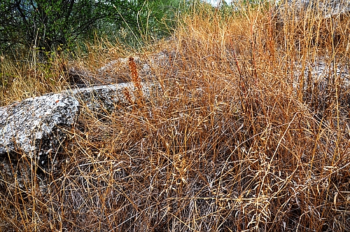 Aidonia stones in landscape
