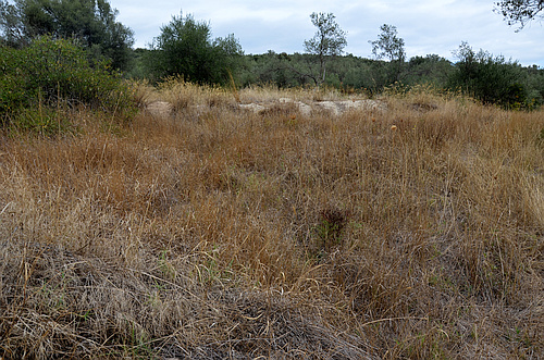 Aidonia stones in landscape