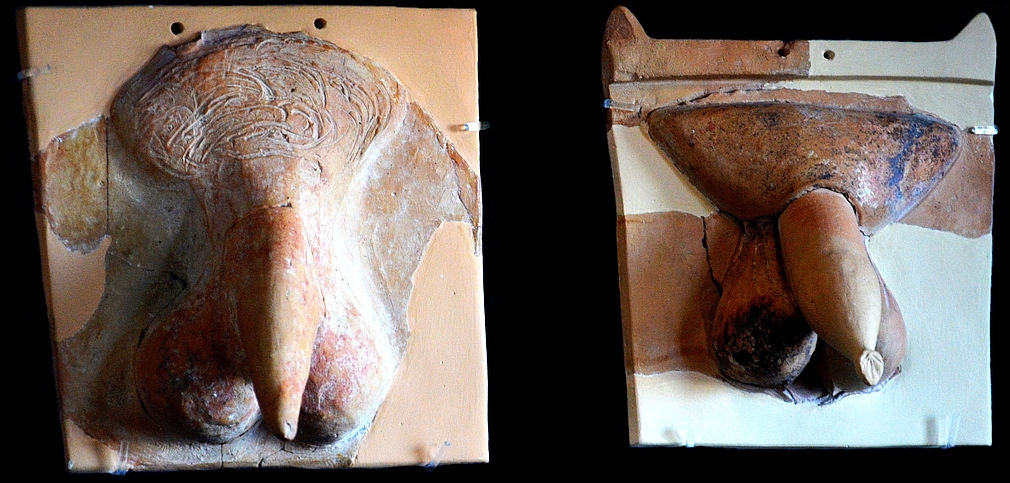 terracotta male genitalia