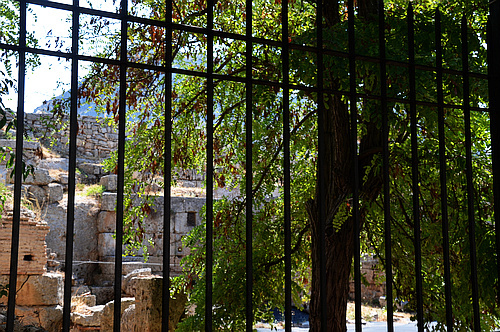 the site behind a fence