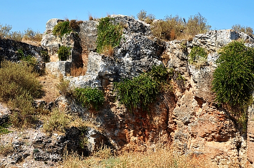ancient quarry