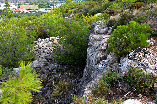 stones in landscape