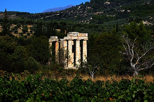 Nemea temple of Zeus