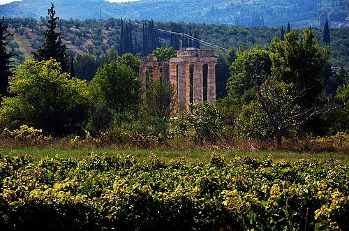 Nemea temple of Zeus