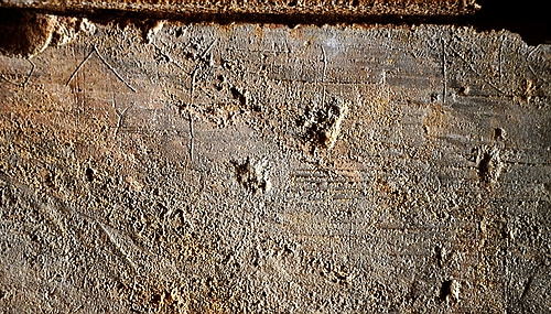 graffiti in the tunnel of the stadium