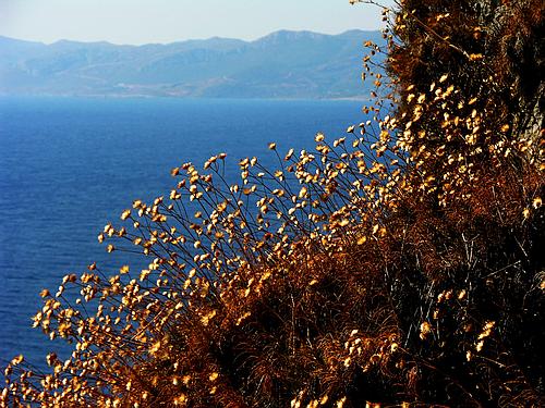 view from the upper town Monemvasia