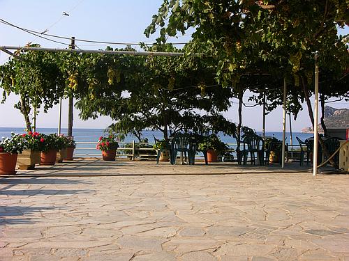 scene in modern Plitra