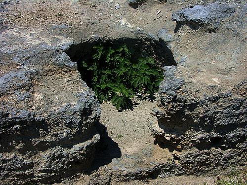 Volimidia chamber tomb cemetery