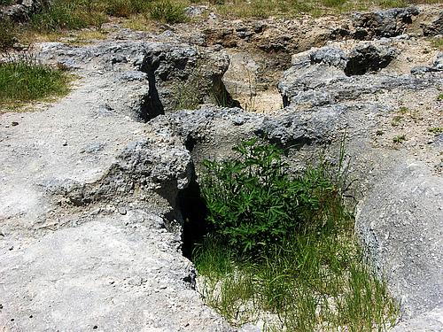 Volimidia chamber tomb cemetery